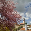 Primavera 2015 (26 de abril)