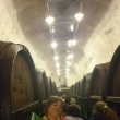 Fin da excursao nas bodegas