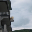 Detalle de Elefante dorado del famoso Caf� Elefant que es de tanta fama como Sacher en Viena