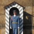 La guardia del Castillo