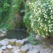 Foso de los osos